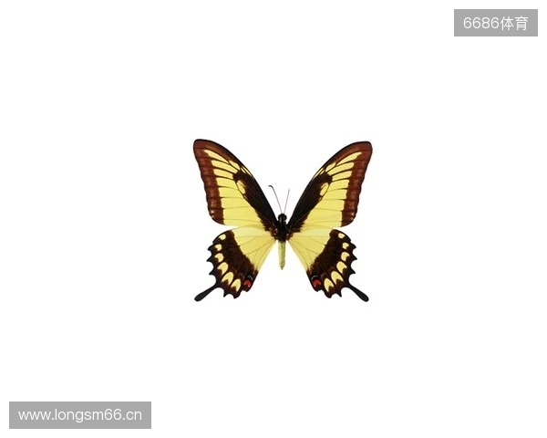 破茧成蝶：Legacy如何登顶南美、跻身世界顶尖行列